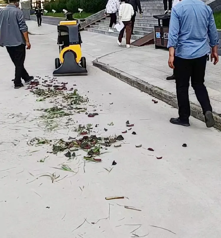 手推式吸葉機(jī)